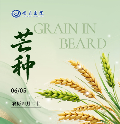 芒种.jpg